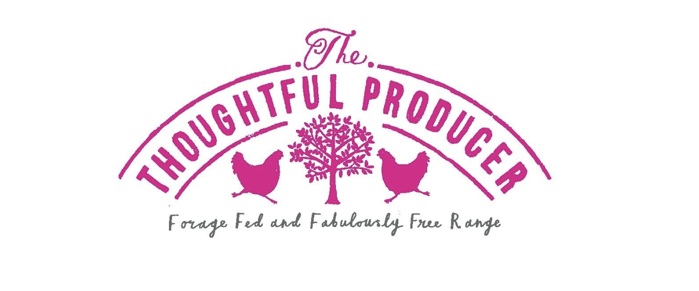 The Thoughtul Producer Logo